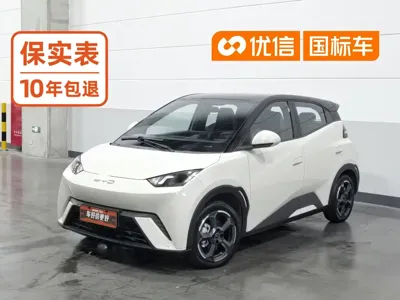 BYD Seagull