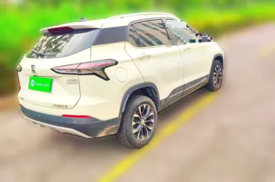 Baojun 510