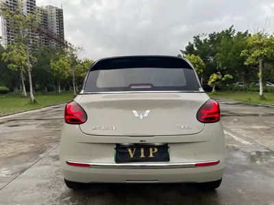 Wuling Bingo
