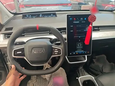 NETA Neta AYA