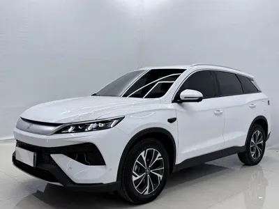 BYD Pro New Energy