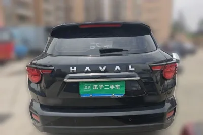 Haval H Dog
