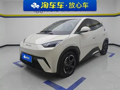 BYD Seagull