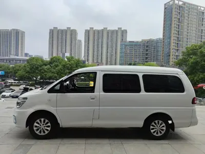 Fengxing Lingzhi New Energy