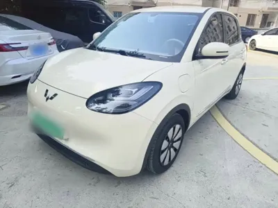 Wuling Bingo