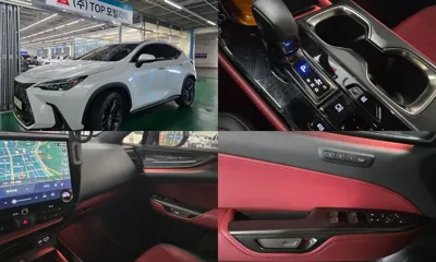 Lexus NX