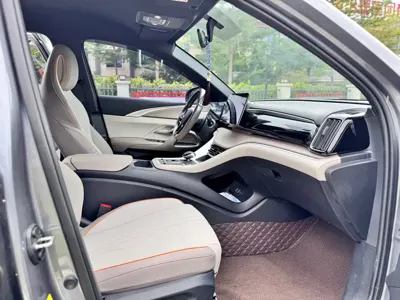 BYD Pro New Energy