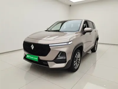 Baojun RS-5
