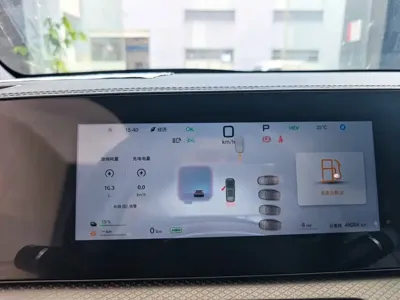 BYD Pro New Energy
