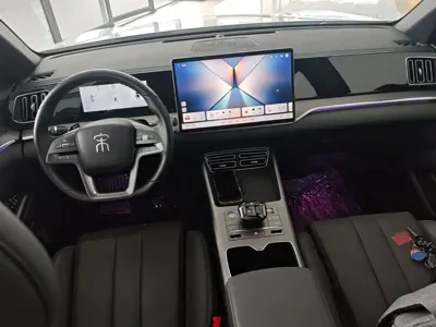 BYD Pro New Energy