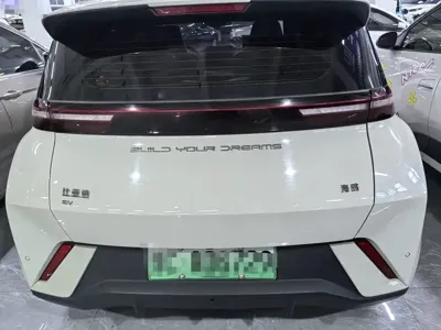 BYD Seagull