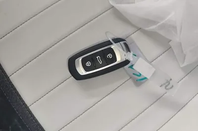 Geely Galaxy Panda