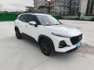 Baojun RS-3