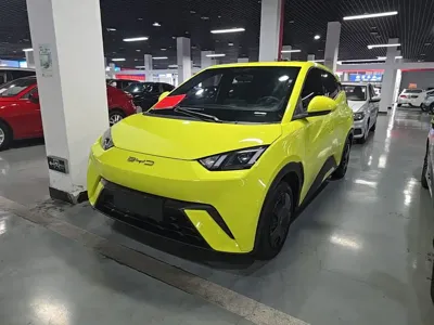 BYD Seagull