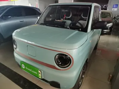 Geely Galaxy Panda