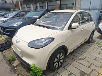 Wuling Bingo