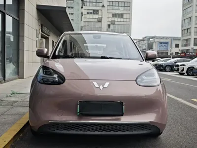 Wuling Bingo