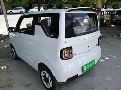 Galaxy Panda