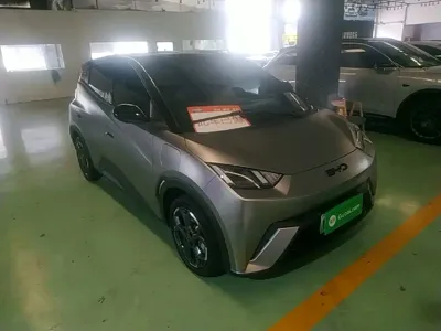 BYD Seagull