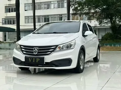 Baojun 310