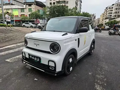 Galaxy Panda
