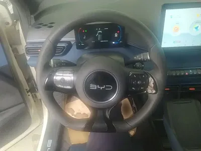 BYD Seagull