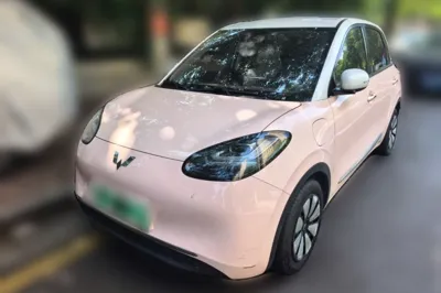 Wuling Bingo