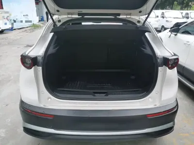 Mazda CX-30 EV