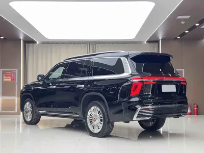 Hongqi 红旗金葵花国耀