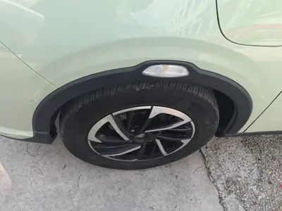 NETA Neta V