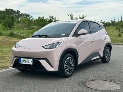 BYD Seagull