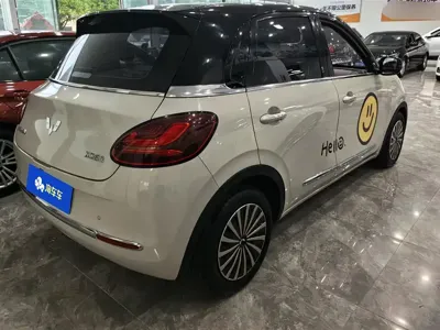 Wuling Bingo
