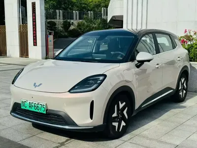 Wuling 缤果S