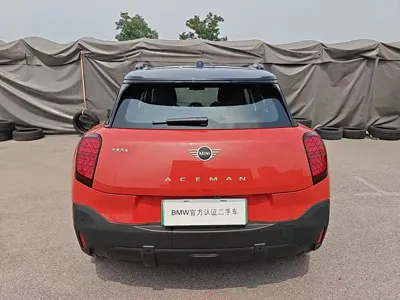 MINI MINI ACEMAN EV