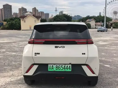 BYD Seagull