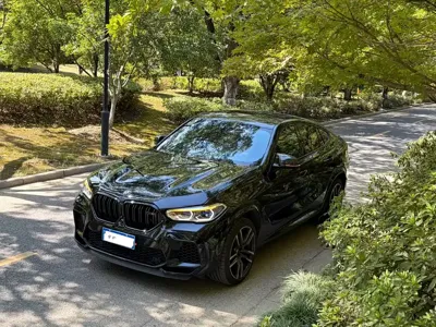 BMW X6 M