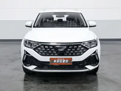 Jetta VS5
