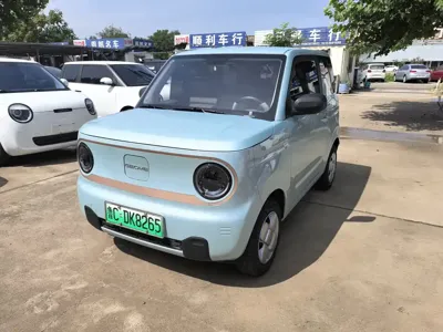 Galaxy Panda