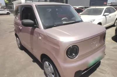 Geely Galaxy Panda