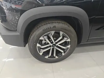 Haval Big Dog