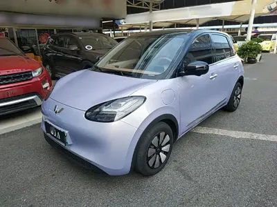 Wuling Bingo