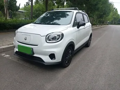 Leapmotor Leapmotor T03