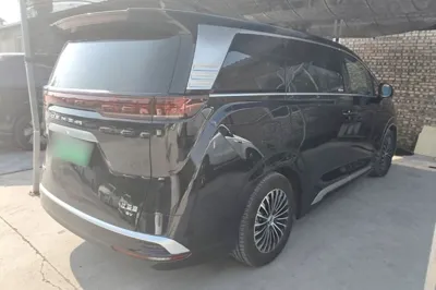 Denza D9