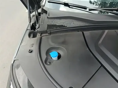 BYD PLUS New Energy