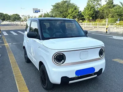 Galaxy Panda