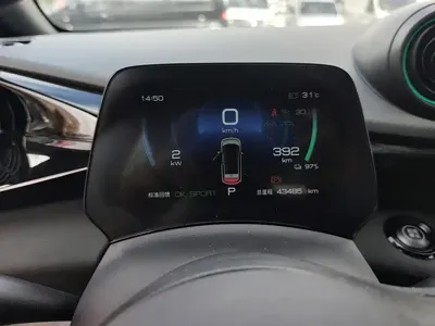 BYD Dolphin