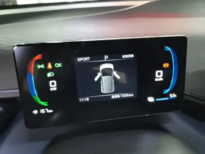 BYD Seagull