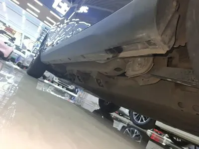 NETA Neta V
