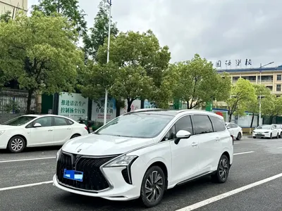 Fengxing Fengxing Yacht