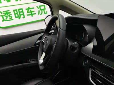 BYD MAX
